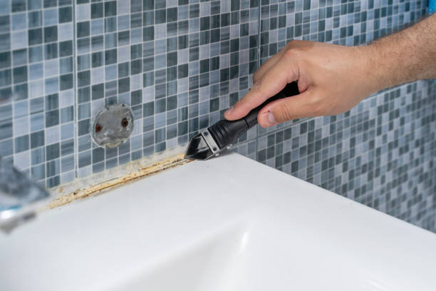 Best Local Mold Removal Service  in Madison, IN